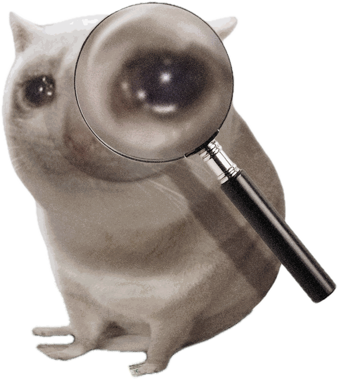 CASHCAT inspecting the build with a magnifying glass
